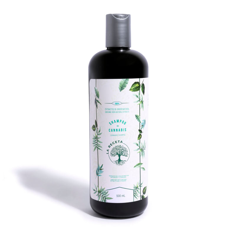 SHAMPOO DE ARGAN PARA CABELLO SECO LA RECETA 500 ML