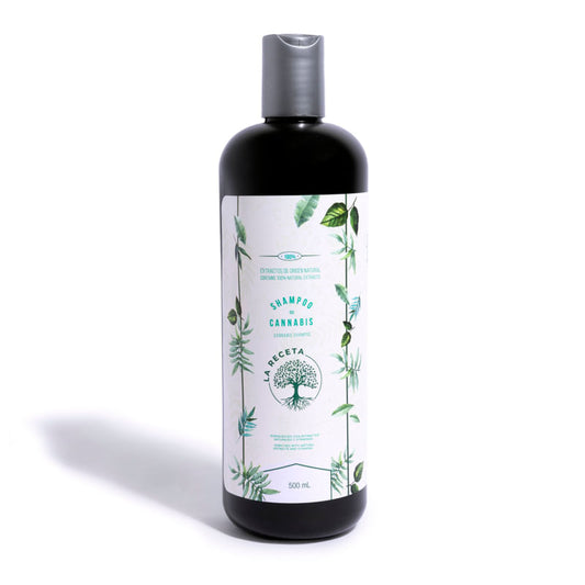 SHAMPOO DE ARGAN PARA CABELLO SECO LA RECETA 500 ML