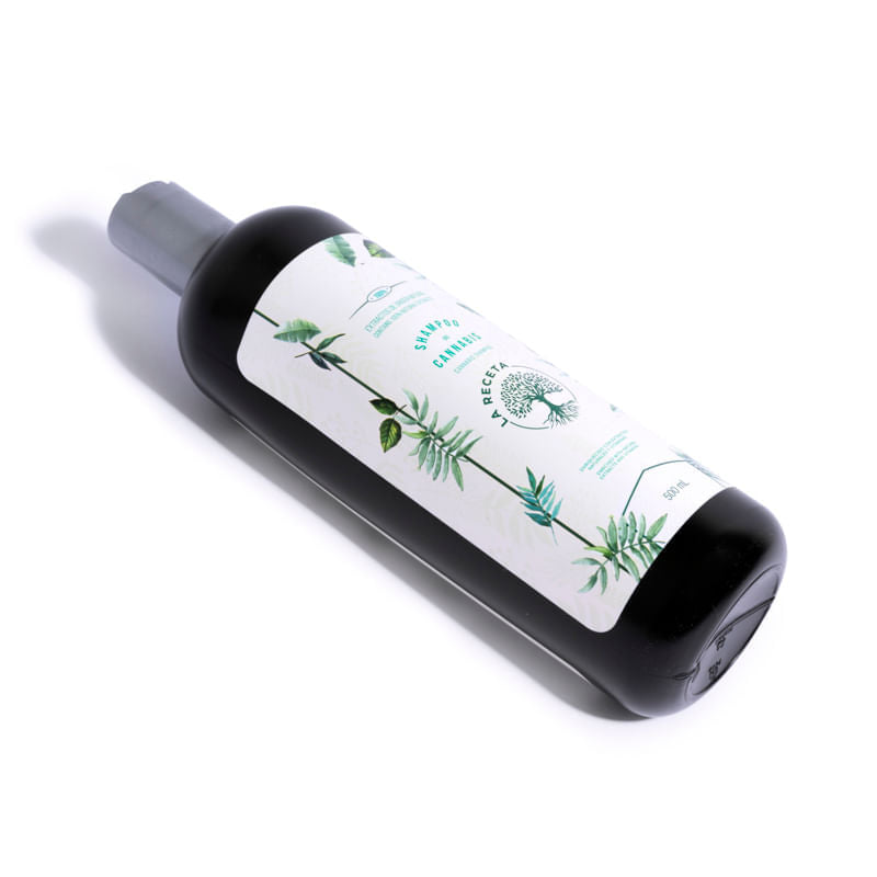 SHAMPOO DE ARGAN PARA CABELLO SECO LA RECETA 500 ML