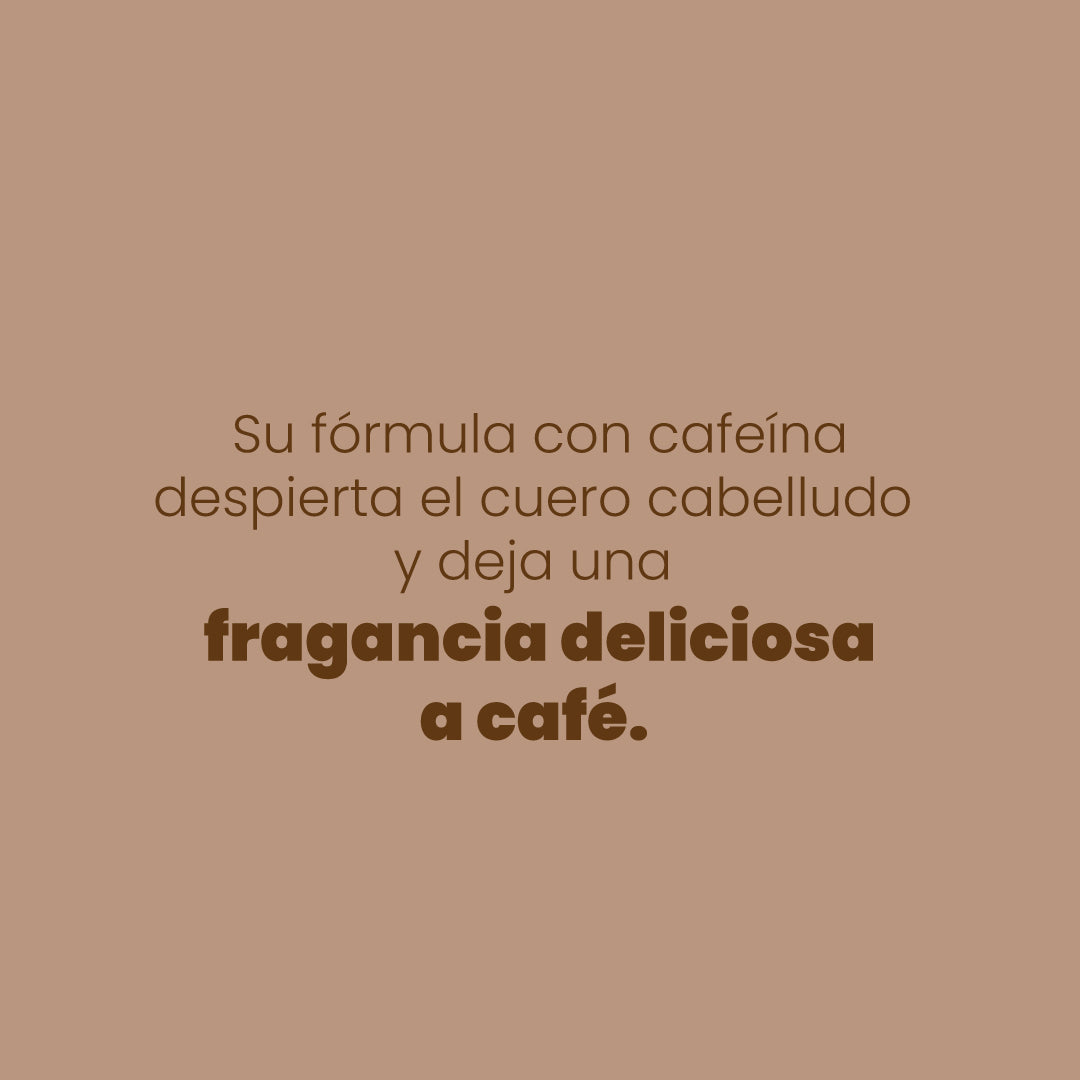 SHAMPOO CON CAFE ANYELUZ