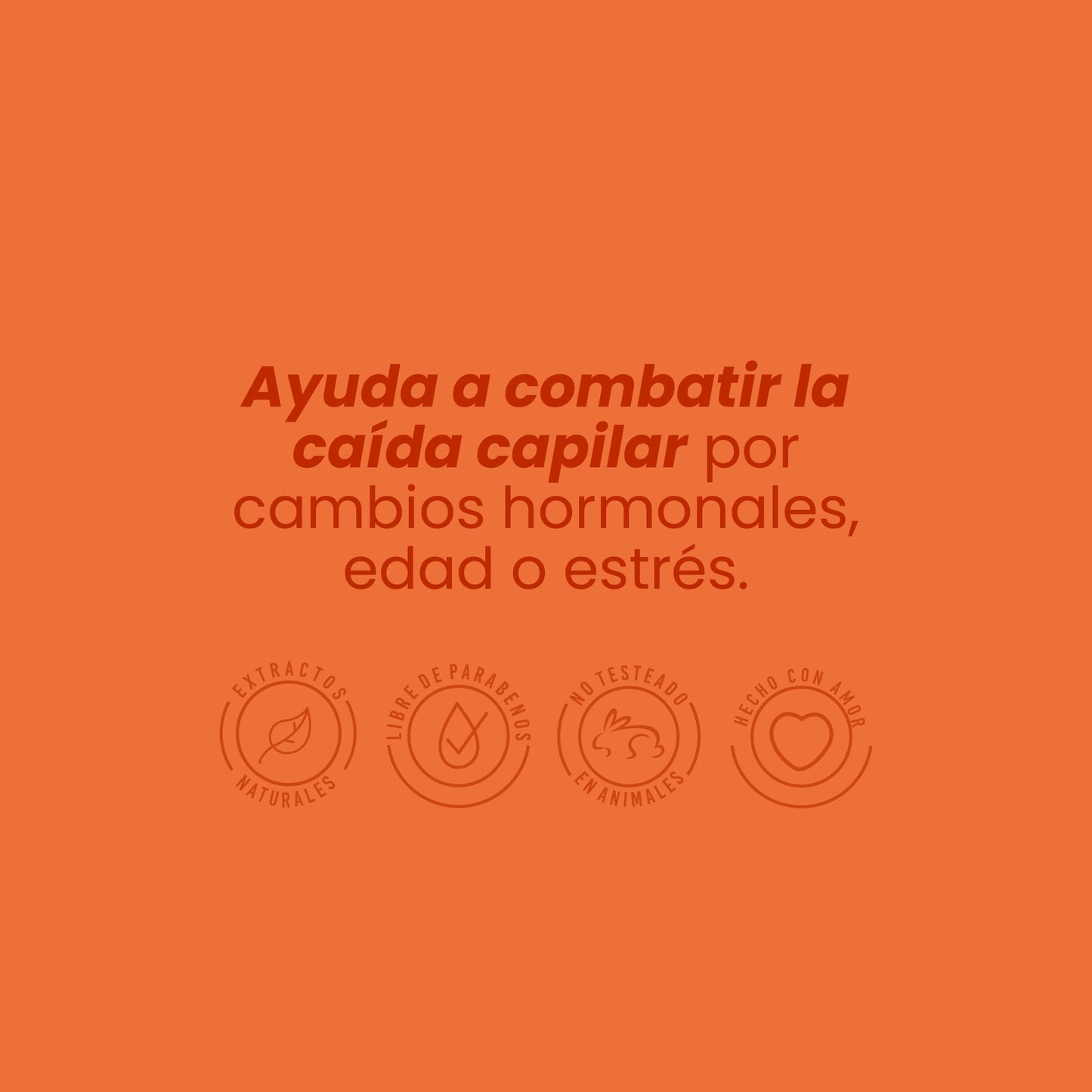SHAMPOO CON GINSENG ANYELUZ