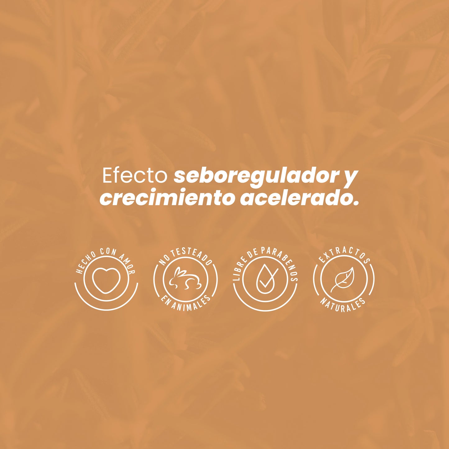POTENCIALIZADOR DE ROMERO ANYELUZ