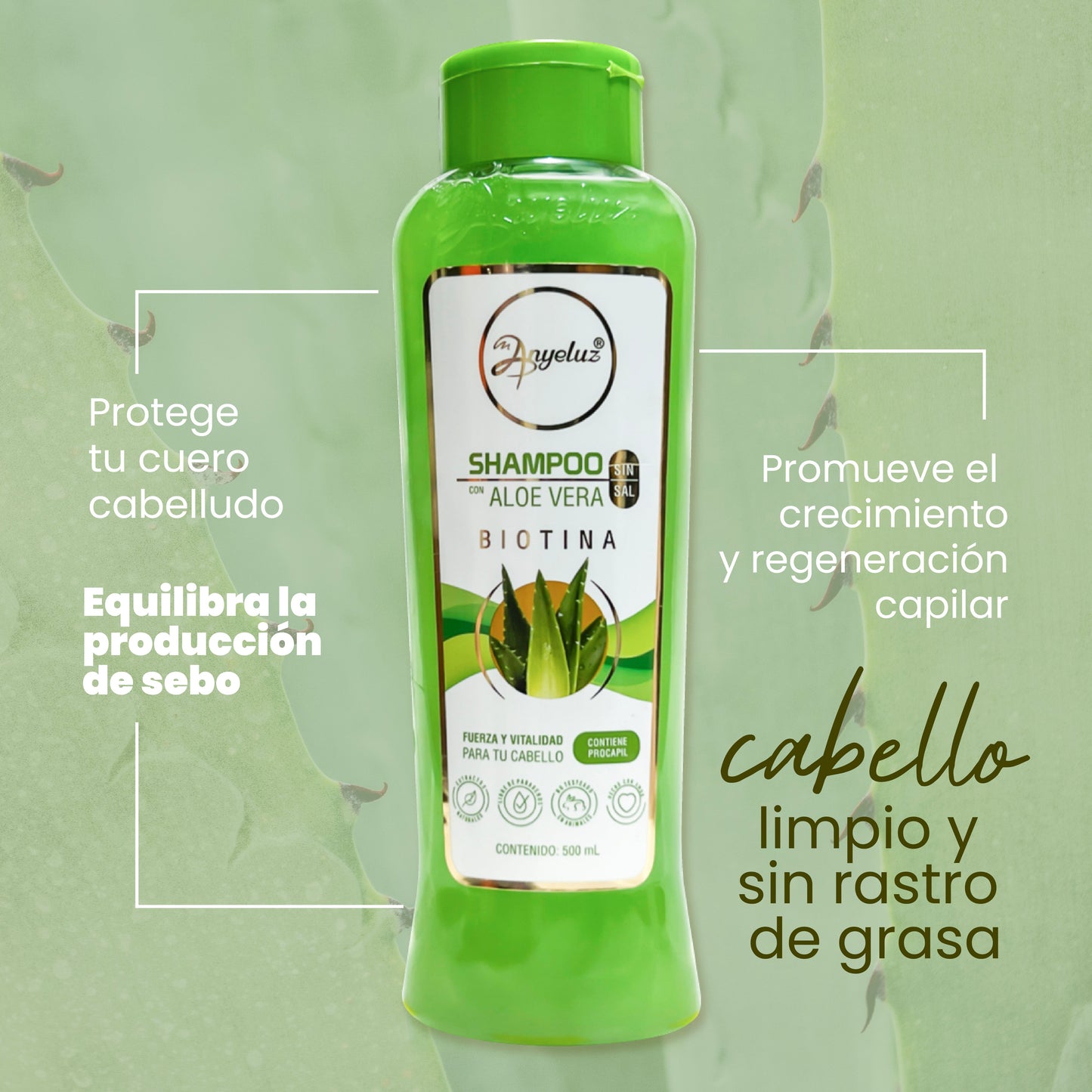 SHAMPOO CON ALOE VERA ANYELUZ