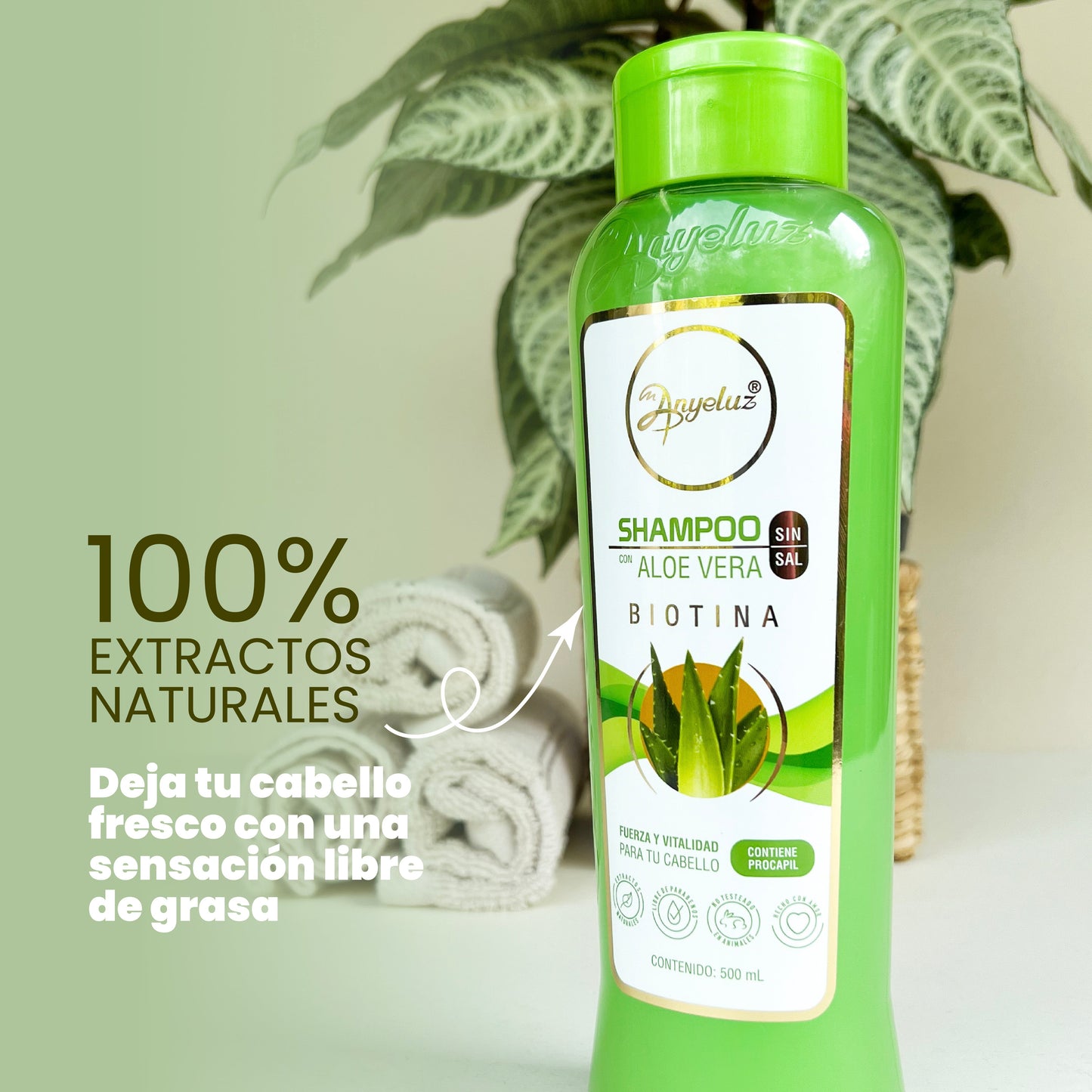 SHAMPOO CON ALOE VERA ANYELUZ