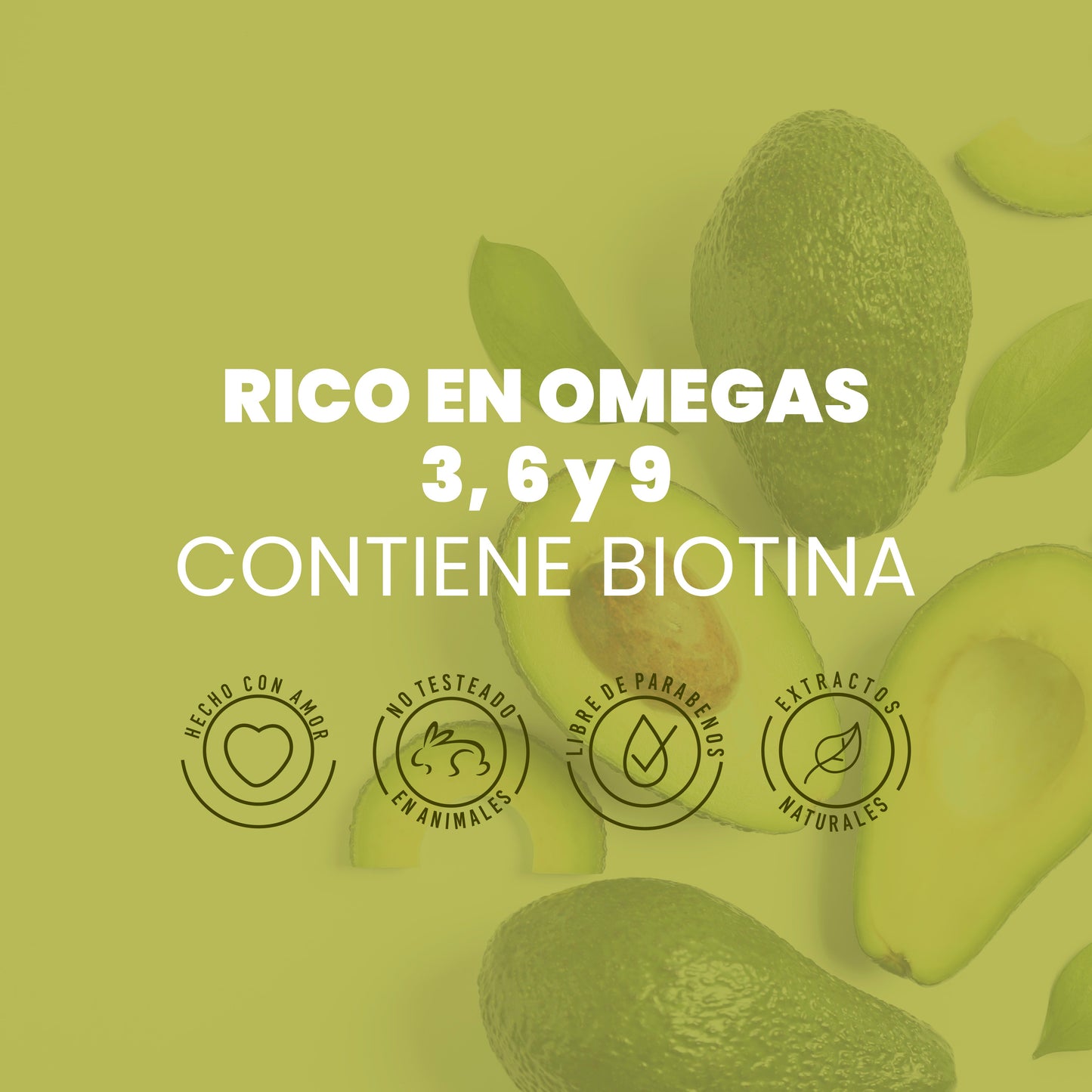 SHAMPOO CON AGUACATE ANYELUZ