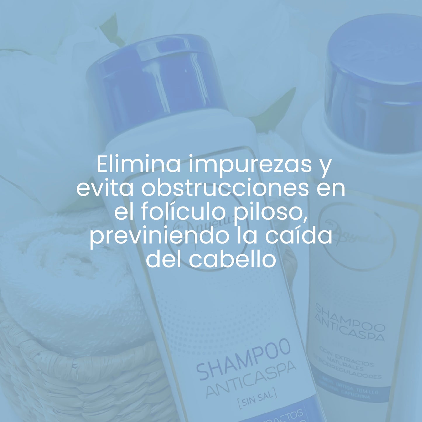 SHAMPOO ANTICASPA ANYELUZ