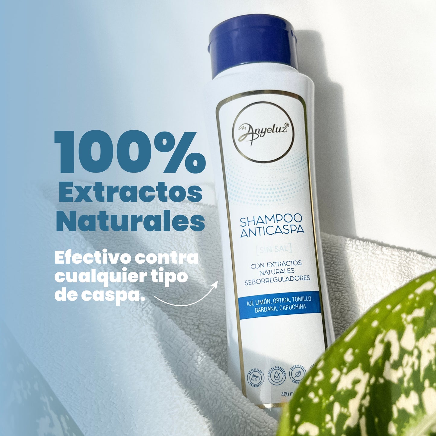 SHAMPOO ANTICASPA ANYELUZ
